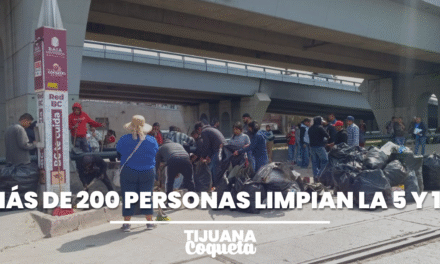 ESPACIOS PÚBLICOS RECUPERADOS: MÁS DE 200 PERSONAS LIMPIAN Y EMBELLECEN LA ZONA DE 5 Y 10