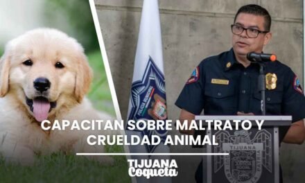TIJUANA REFUERZA SU COMPROMISO CON LOS LOMITOS: CAPACITAN A AUTORIDADES SOBRE MALTRATO Y CRUELDAD ANIMAL